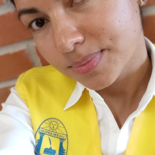 YAMILETH ARACELY GONZALEZ ARTICA