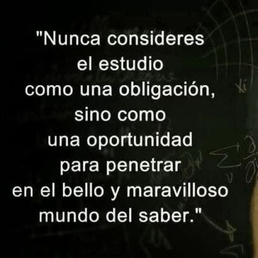 RONAL CEFERINO TORRES MERAZ