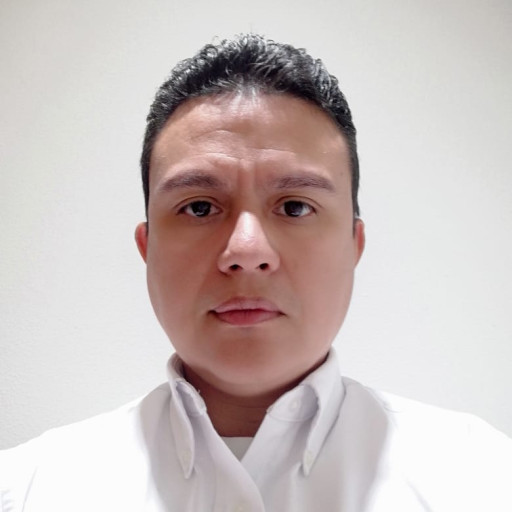 HECTOR MANUEL BANEGAS CASTILLO